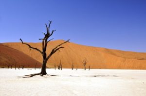 Reise Namibia Urlaub
