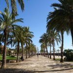 Billigflug nach Palma de Mallorca