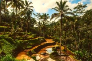 Studi-Kompass-Bali1
