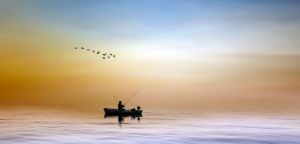 Pandablue-Bild